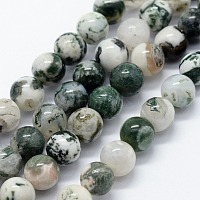 Natural Tree Agate Beads Strands, Round, 6mm, Hole: 1.2mm, about 63pcs/strand, 14.76 inch(37.5cm)