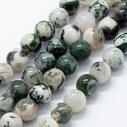 Natural Tree Agate Beads Strands, Round, 6mm, Hole: 1.2mm, about 63pcs/strand, 14.76 inch(37.5cm)(X-G-I199-03-6mm)