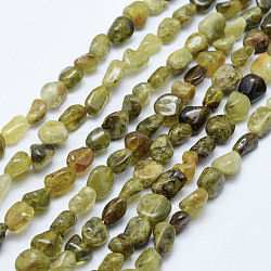 Natural Green Garnet Beads Strands, Andradite Beads, Tumbled Stone, Nuggets, 5x4mm, Hole: 1mm, 15.7 inch~15.9 inch(40~40.5cm)(G-K203-05)
