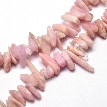 Natural Kunzite Chip Beads Strands, Spodumene Beads, 8~30x5~12mm, Hole: 1mm, about 15.3 inch~15.7 inch