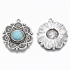 Tibetan Style Alloy Pendants(PALLOY-R113-002-RS)-2