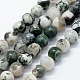 Chapelets de perles en agate d'arbre naturelle(X-G-I199-03-6mm)-1