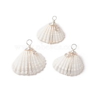 Spiral Shell Copper Wire Wrapped Pendants, Shell Charms, Silver Color Plated, Creamy White, 21~25.5x20.5~24.5x7.5~9mm, Hole: 2.3~3.2mm(PALLOY-TA00024)