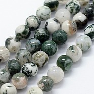 Natural Tree Agate Beads Strands, Round, 4mm, Hole: 1mm, about 95pcs/strand, 14.76 inch(37.5cm)(G-I199-03-4mm)