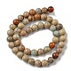 Natural Aqua Terra Jasper Beads Strands(G-E444-14B-10mm)-2