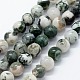 Chapelets de perles en agate d'arbre naturelle(G-I199-03-4mm)-1
