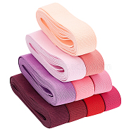 25M 10 Colors Colored Flat Elastic Rubber Band, Webbing Garment Sewing Accessories, Mixed Color, 25mm, 2.5m/color(EC-BC0001-50)
