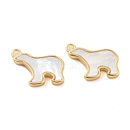 Natural Freshwater Shell Brass Bear Charms, Real 18K Gold Plated, 10x13x2mm, Hole: 1.4mm(KK-Q806-10G)