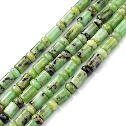 Natural Serpentine Beads Strands, Column & Rondelle, Rondelle: 6.3~6.5x3.5~4mm, Column: 6~6.2x7.5~9.5mm, Hole: 1mm, about 63pcs/strand, 16.14~16.34 inch(41~41.5cm)(G-C074-01)