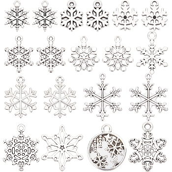 120Pcs 12 Style Tibetan Style Alloy Pendants, Snowflake, Antique Silver & Platinum, 15~28x10.5~22x1~2.5mm, Hole: 0.7~2mm, 10pcs/style