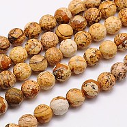 Natural Picture Jasper Beads Strands, Faceted, Round, 8mm, Hole: 1mm, about 46pcs/strand, 15.75 inch(G-G542-8mm-08)
