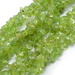 Natural Peridot Beads Strands, Grade A, Chip, 5~8mm, Hole: 1mm, about 33 inch(84cm)(G-P332-48)
