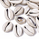 Natural Cowrie Shell Beads(SSHEL-N034-33)-1