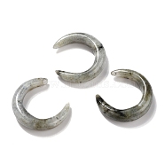 Natural Labradorite Beads, No Hole, for Wire Wrapped Pendant Making, Double Horn/Crescent Moon, 31x28x6.5mm(G-J366-16)
