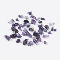 Amethyst Chips Floating Charms Fit Floating Locket Pendants, No Hole/Undrilled, 5~8mm(X-G-F014-1)