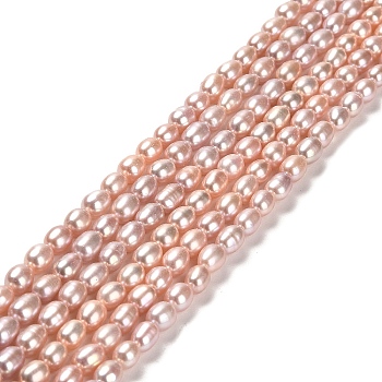 Natural Cultured Freshwater Pearl Beads Strands, Rice, Grade 4A, Dark Salmon, 6~7x4~4.5mm, Hole: 0.5mm, about 58pcs/strand, 14.69''(37.3cm)