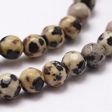 Chapelets de perles en jaspe dalmatien naturelle(G-D840-49-4mm)-3