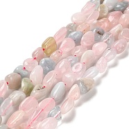 Natural Morganite Beads Strands, Tumbled Stone, Nuggets, 8.9~13.5x6.9~7.5x3.8~5.4mm, Hole: 1mm, about 46~47pcs/strand, 15.87''(40.3cm)(G-Q1004-01B)