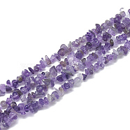 Natural Amethyst Beads Strands, Chip, Blue Violet, 3~11x3~5x1~4mm, Hole: 1mm, about 380~400pcs/strand, 33 inch(G-S315-15)