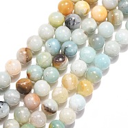 Natural Flower Amazonite Beads, Round, 8mm in diameter, hole: 0.8mm, 49 pcs/strand, 15.5 inch(X-Z26N5017)
