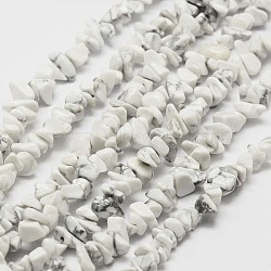 Natural Howlite Beads Strand, Chip, White, 3~4x3~8x4~5mm, Hole: 0.4mm, 33.5 inch(X-G-F328-05)