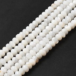 Natural Freshwater Shell Beads Strands, Rondelle, Seashell Color, 5x3mm, Hole: 0.9mm, about 114~115pcs/strand, 15.31~15.43''(38.9~39.2cm)(BSHE-E026-15A-02)