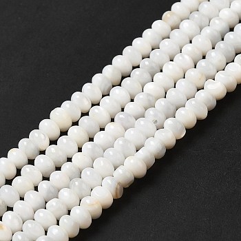 Natural Freshwater Shell Beads Strands, Rondelle, Seashell Color, 5x3mm, Hole: 0.9mm, about 114~115pcs/strand, 15.31~15.43''(38.9~39.2cm)
