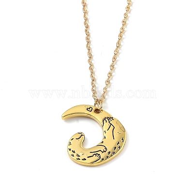 (Jewelry Parties Factory Sale)Alloy Pendant Necklaces(NJEW-H212-01)-3