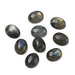 Natural Labradorite Cabochons, Oval, 10x8x4mm(G-F815-01A)