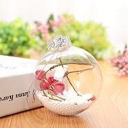Transparent Plastic Fillable Ball Pendants Decorations, with Rattan inside, Christmas Tree Hanging Ornament, Clear, 60mm(XMAS-PW0002-02A-01)