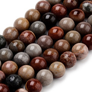 Natural America Picture Jasper Beads Strands, Round, 8~8.5mm, Hole: 1mm, about 47pcs/strand, 15.5 inch(G-Q462-58-8mm)