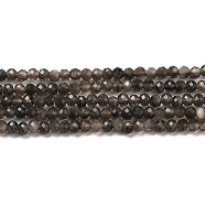 Natural Silver Sheen Obsidian Beads Strands, Round, Faceted, 2mm, Hole: 0.5mm, about 222~224pcs/strand, 15.16~15.35''(38.5~39cm)(G-E608-A02-A)