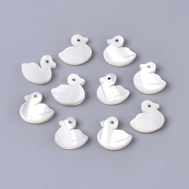 10mm Duck Trochus Shell Beads