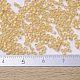 MIYUKI Delica Beads Small(SEED-JP0008-DBS0230)-4