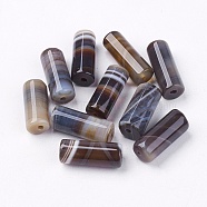 Natural Striped Agate/Banded Agate Beads, Dyed, Column, Coconut Brown, 20x8mm, Hole: 1.5mm(G-R179)