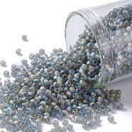 TOHO Round Seed Beads, Japanese Seed Beads, (176BF) Transparent AB Frost Gray, 11/0, 2.2mm, Hole: 0.8mm, about 1110pcs/10g(X-SEED-TR11-0176BF)