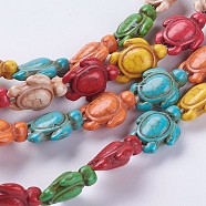 1 Strand Synthetic Turquoise Beads Strands, Turtle, Dyed, Colorful, 18.5x15x8mm, Hole: 1.5mm, about 22pcs/strand, 15.24 inch(38.7cm)(G-FS0005-65)