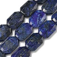 Natural Lapis Lazuli Beads Strands, Dyed, Hexagon, Faceted, 12x17x5mm, Hole: 1mm, about 24pcs/strand, 15.55''(39.5cm)(G-P544-B10-01)