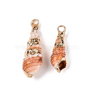 Natural Sea Shell Pendants, Shell Shaped Charms with Golden Tone Iron Loops, Sandy Brown, 22~31x7~10x7~10mm, Hole: 1.8~2.5mm(SSHEL-N038-34)