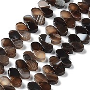 Natural Agate Beads Strands, Dyed & Heated, Top Drilled, Teardrop, Coconut Brown, 8x5x3mm, Hole: 0.8~1mm, about 52~55pcs/strand, 7.48~7.87 inch(19~20cm)(G-G021-04A-01)