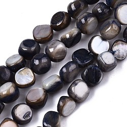 Natural Freshwater Shell Beads Strands, Dyed, Nuggets, Slate Blue, 6~7x5~7x2~7mm, Hole: 0.8mm, about 58~62pcs/strand, 14.57~15.35 inch (37~39cm)(SHEL-S276-110A-01)