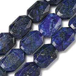 Natural Lapis Lazuli Beads Strands, Dyed, Hexagon, Faceted, 12x17x5mm, Hole: 1mm, about 24pcs/strand, 15.55''(39.5cm)(G-P544-B10-01)