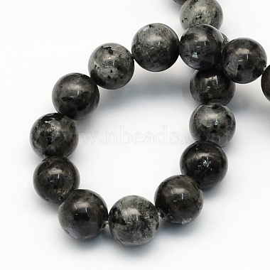 Natural Larvikite Round Beads Strands(X-G-S159-10mm)-2