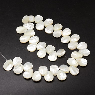 Chapelets de perles de coquille de trochid / trochus coquille(SSHEL-K009-08)-2