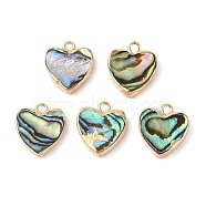 Natural Paua Shell Heart Charms with Brass Edge, Golden, 15x13.5x3.5mm, Hole: 1.8mm(SHEL-P017-19G)