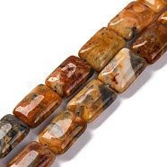 Natural Crazy Agate Beads Strands, Rectangle, 18x13.5x5.5mm, Hole: 1.2mm, about 22pcs/strand, 15.75 inch(40cm)(G-T047-B18-01)