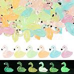 60Pcs 6 Colors Luminous Resin Flamingo Shape Display Ornaments, Micro Landscape Garden Decoration Accessories, Glow in the Dark, Mixed Color, 29.5x15.5x28mm, 10pcs/color(DJEW-CA0001-53)