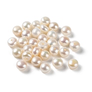 Natural Cultured Freshwater Pearl Beads, Half Drilled, Round, Grade 3A, Floral White, 6.5~7x4.5~5mm, Hole: 0.8mm(PEAR-E020-32)
