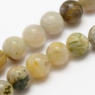 Natural Bamboo Leaf Agate Beads Strands, Round, 8mm, Hole: 1mm, about 48pcs/strand, 15.3 inch(39cm)(G-K194-8mm-01)