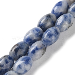 Natural Blue Spot Jasper Beads Strands, Rice, 9x6mm, Hole: 1mm, about 44pcs/strand, 15.94 inch(40.5cm)(G-I369-B01-01)